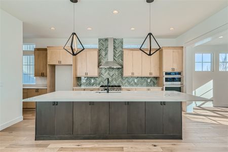 New construction Single-Family house 1846 Chestnut Ave, Erie, CO 80516 6130 - The McStain Premier Collection- photo 15 15