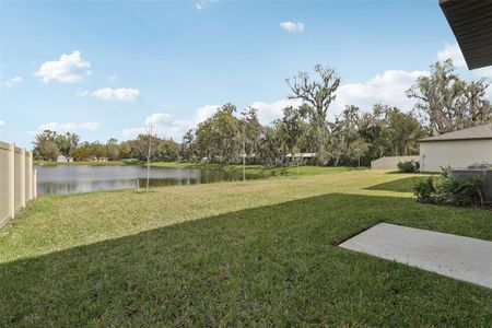 New construction Single-Family house 2318 E Newsome Rd, Plant City, FL 33565 Yellowstone- photo 24 24