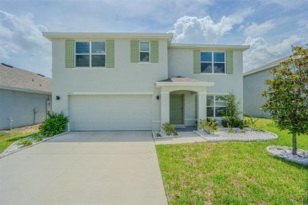 New construction Single-Family house 9213 Mission Bay Pl, Temple Terrace, FL 33637 - image