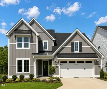 New construction Single-Family house 3204 Balcon Ct, Angier, NC 27501 - image