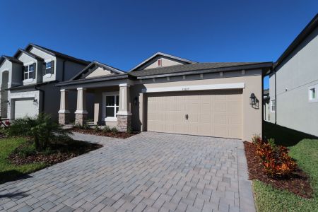 New construction Single-Family house 33227 Amling Pecan Br, Wesley Chapel, FL 33545 Newport II- photo 89 89