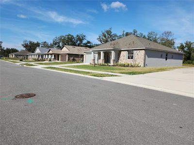 New construction Single-Family house 411 Shannon Estates Ct, Plant City, FL 33563 - image