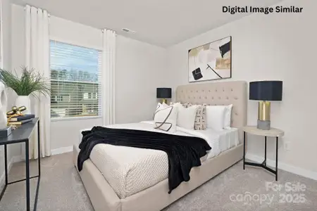 New construction Single-Family house 1704 Coral Bark Ln, Unit 19, Charlotte, NC 28216 - image 6