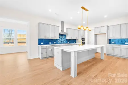 New construction Single-Family house 15718 Sweet Virginia Ln, Unit 56, Huntersville, NC 28078 - image 8