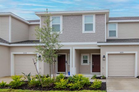 New construction Townhouse house 34234 Polacca Ln, Wesley Chapel, FL 33543 - image