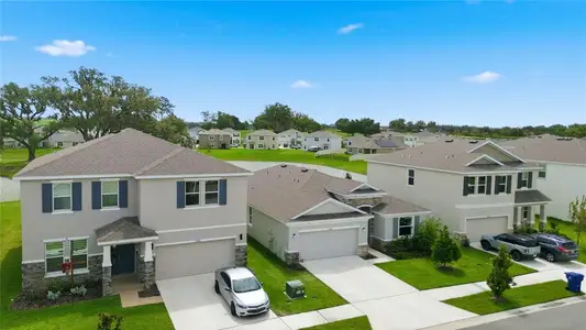 New construction Single-Family house 11316 Spoonbill Flock Wy, San Antonio, FL 33576 - image