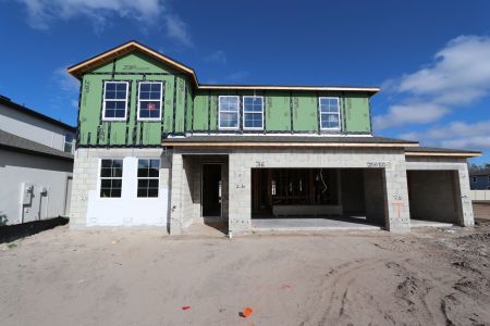 New construction Single-Family house 20050 Oriana Loop, Land O' Lakes, FL 34638 Santa Monica- photo 54 54