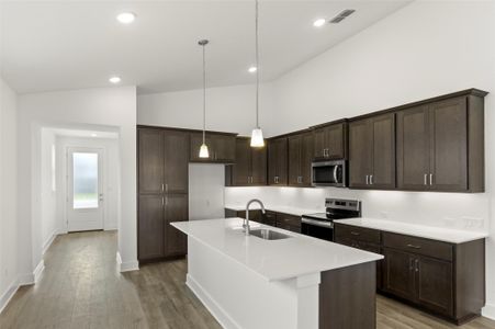 New construction Single-Family house 1117 Yaupon Holly Dr, Georgetown, TX 78628 Plan 2- photo 17 17