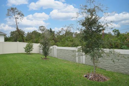 New construction Single-Family house 2612 Leafwing Ct, Palm Harbor, FL 34683 null- photo 73 73