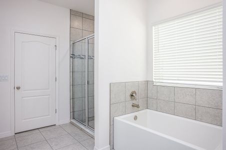 New construction Single-Family house 31412 Malbec Dr, Brooksville, FL 34602 plan The Miramar - image 8