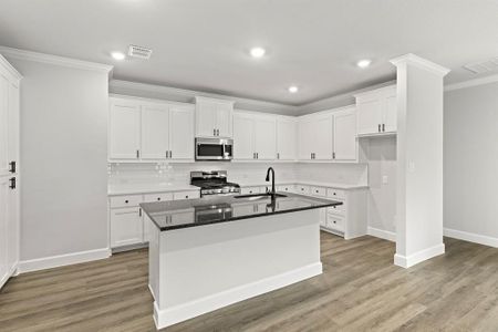 New construction Single-Family house 461 Marsh Dr, Lavon, TX 75166 - image 11