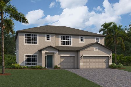 New construction Single-Family house 20014 Oriana Lp, Land O' Lakes, FL 34638 null- photo 6 6