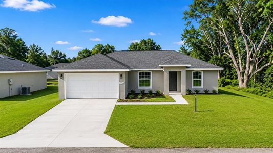 New construction Single-Family house 13346 Sw 111 Ln, Dunnellon, FL 34432 - image