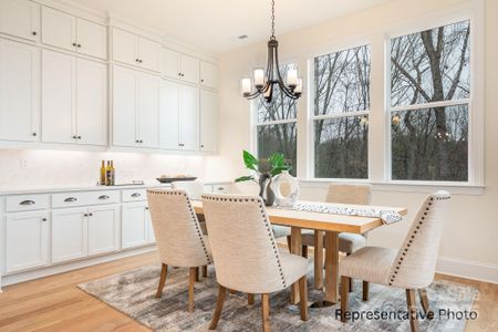 New construction Single-Family house 1059 Sage Pine Cir, Clover, SC 29710 - image 6