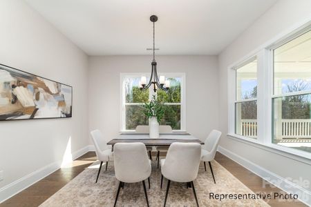 New construction Single-Family house 1290 Sage Pine Cir, Unit 17, Clover, SC 29710 - image 10