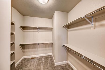 New construction Townhouse house 6248 Vernazza Wy, Windsor, CO 80550 plan Carolina - image 10