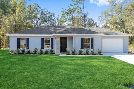 New construction Single-Family house 20 Locust Course Radl, Ocala, FL 34472 - image