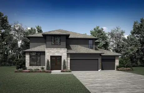 Lariat - 70' by Drees Custom Homes in Liberty Hill - photo 2 2