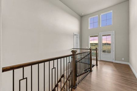 New construction Single-Family house 5380 Soledad Circle, Parker, CO 80134 - photo 8 8