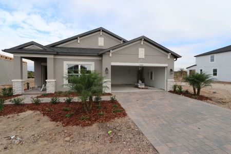 New construction Single-Family house 31229 Denham Ridge Ln, Wesley Chapel, FL 33545 Newport II- photo 43 43