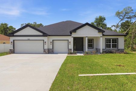 New construction Single-Family house 3880 Sw 131St Place Rd, Ocala, FL 34473 - image