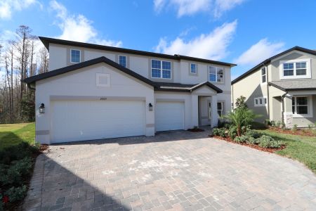 New construction Single-Family house 20125 Oriana Loop, Land O' Lakes, FL 34638 Santina II- photo 144 144