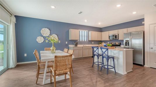 New construction Single-Family house 13258 Sassafras Trl, Parrish, FL 34219 - image 5