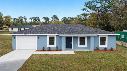 New construction Single-Family house 2688 Sw 150Th Ct, Ocala, FL 34481 - image