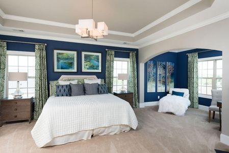 New construction Single-Family house 1089 Saltwater Cir, Johns Island, SC 29455 Duvall II- photo 13 13