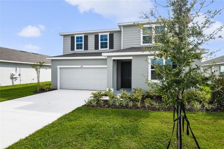 New construction Single-Family house 1272 Daisy Hill Ave, Dundee, FL 33838 - image