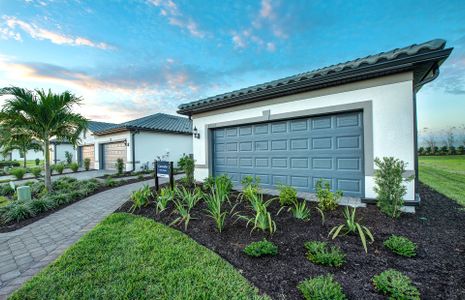 New construction Single-Family house 6400 Talon Preserve Dr, Nokomis, FL 34275 plan Cascadia - image