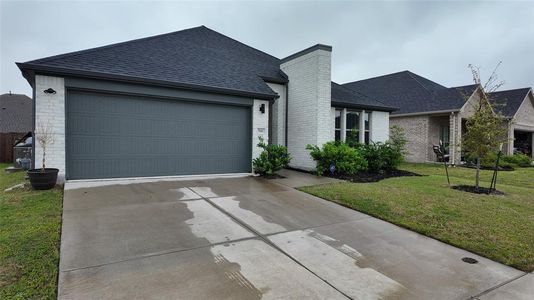 New construction Single-Family house 542 Chase Creek Dr, Lavon, TX 75166 plan Heisman - image