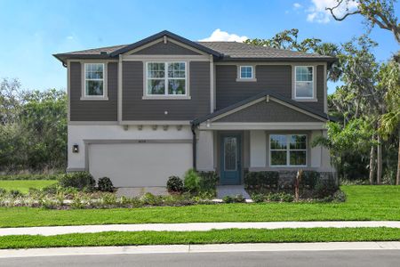 New construction Single-Family house Spring Hill, Brooksville, FL 34613 - photo 0