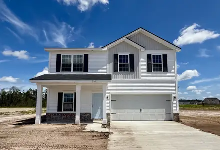 New construction Single-Family house Allenhurst, GA 31301 plan The Denmark - image