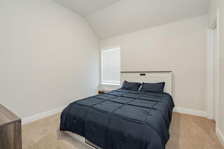 New construction Single-Family house 1725 Frisco Hills Blvd, Little Elm, TX 75068 null- photo 30 30