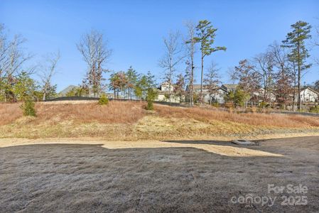 New construction Single-Family house 148 Windy Dell Dr, Tega Cay, SC 29708 Willow Exterior C- photo 40 40