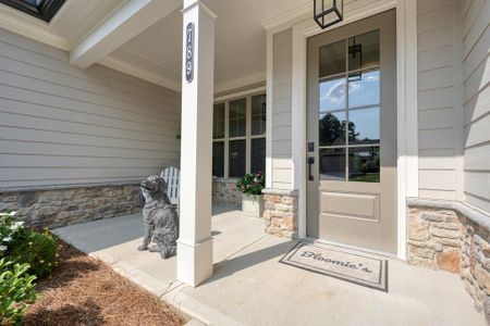 New construction Single-Family house 789 Brooke View Dr, Canton, GA 30115 - image 4