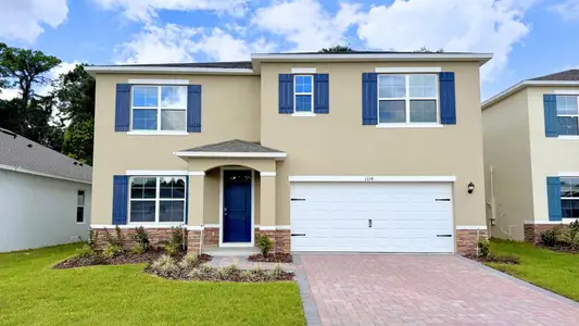 New construction Single-Family house 1114 Gull Dr, Apopka, FL 32703 plan Hayden - image