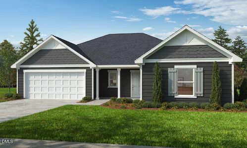 New construction Single-Family house 237 Boss Shot Dr, Smithfield, NC 27577 - image