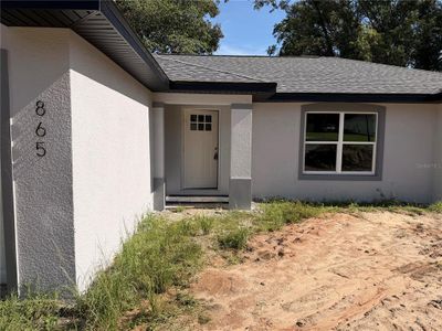 New construction Single-Family house 865 Se 28Th St, Ocala, FL 34471 - image