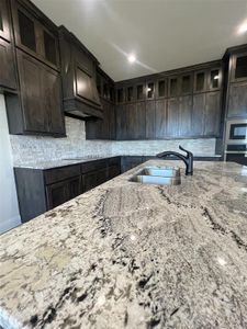 New construction Single-Family house 411 Solo Ridge Dr, Waxahachie, TX 75167 null- photo 17 17