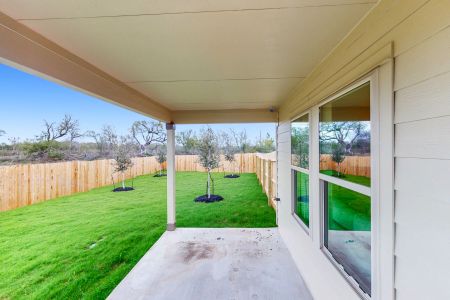 New construction Single-Family house 8209 Roadrunner Psge, San Antonio, TX 78222 Freestone- photo 33 33