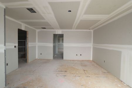 New construction Single-Family house 31222 Hayman Loop, Wesley Chapel, FL 33545 Windsor- photo 60 60