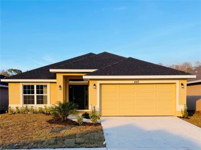 New construction Single-Family house 4456 Sagefield Dr, Harmony, FL 34773 null- photo 0