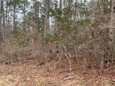 New construction Single-Family house 515 Penny Ln, Loganville, GA 30052 null- photo 72 72