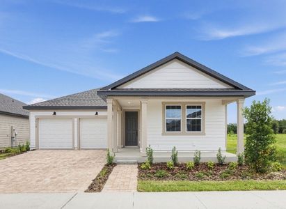 New construction Single-Family house 30130 Emerald Forest Dr, Mount Dora, FL 32757 plan Plant II - image