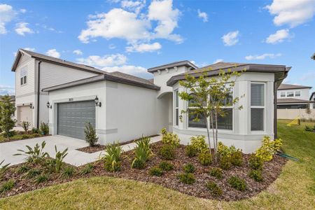 New construction Single-Family house 20723 Balsam Hill Rd, Land O' Lakes, FL 34638 Medina- photo 50 50