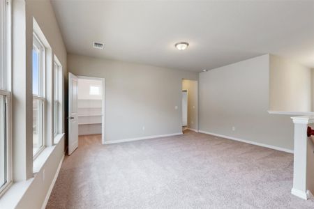 New construction Single-Family house 11804 Seaside Woods Dr, Austin, TX 78747 Baltimore- photo 25 25