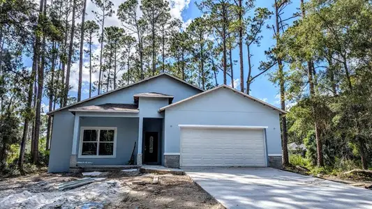 New construction Single-Family house 2390 9Th Ave, Deland, FL 32724 - image