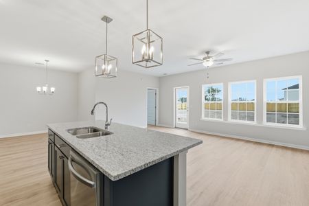 New construction Single-Family house Ludowici, GA 31316 plan The Powell - image 8